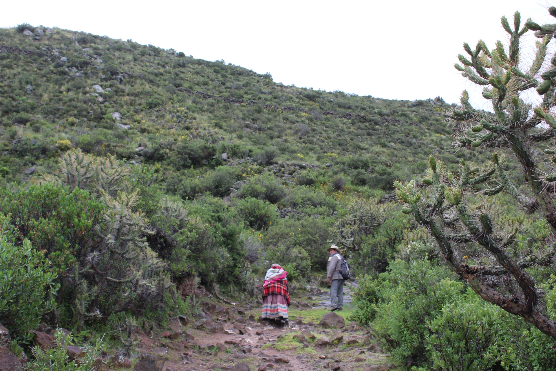Camino del Qapaqñan
